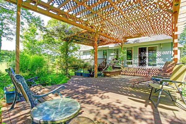 pergola underifrån med växter